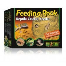 REPTILE FOOD AND WATER DISHES