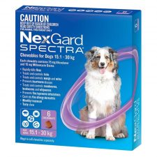 NEXGARD SPECTRA FOR DOGS 15.1-30KG PURP 6 PACK